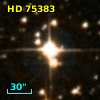 HD  75383