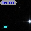 Ton  981