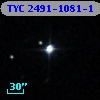 TYC 2491-1081-1