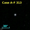 Case A-F  313