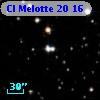 Cl Melotte   20    16