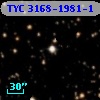 TYC 3168-1981-1