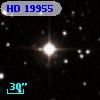 HD  19955