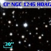 Cl* NGC 1245   HOAG       4