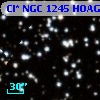 Cl* NGC 1245   HOAG      11