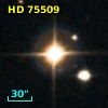 HD  75509