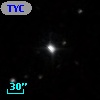 TYC  817-523-1