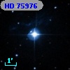 HD  75976