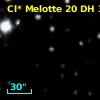 Cl* Melotte   20     DH      31