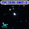TYC 2836-1067-1