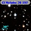 Cl Melotte   20   197