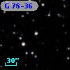 G  78-36