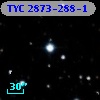 TYC 2873-288-1
