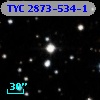 TYC 2873-534-1