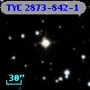 TYC 2873-842-1