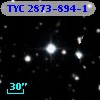 TYC 2873-894-1