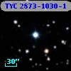 TYC 2873-1030-1