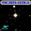 TYC 2873-1229-1