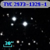 TYC 2873-1328-1