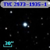 TYC 2873-1935-1