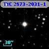 TYC 2873-2031-1