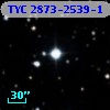 TYC 2873-2539-1