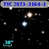 TYC 2873-3164-1