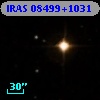 IRAS 08499+1031
