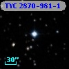 TYC 2870-981-1
