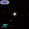 TYC  811-429-1