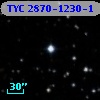 TYC 2870-1230-1