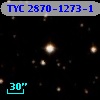 TYC 2870-1273-1