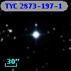 TYC 2873-197-1