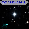 TYC 2873-224-1
