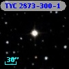 TYC 2873-300-1