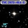 TYC 2873-411-1