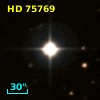 HD  75769