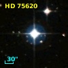HD  75620
