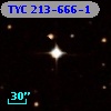 TYC  213-666-1