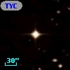 TYC  213-212-1