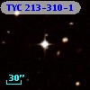 TYC  213-310-1