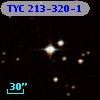 TYC  213-320-1