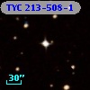 TYC  213-508-1