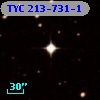 TYC  213-731-1