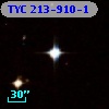TYC  213-910-1