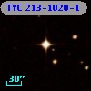 TYC  213-1020-1