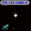 TYC  213-1160-1