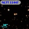 NLTT 11447