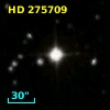 HD 275709