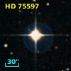 HD  75597